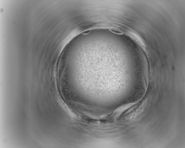 X0000088580907200706011109