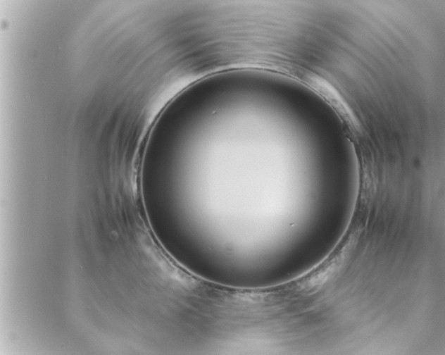 X0000088580908200706011109