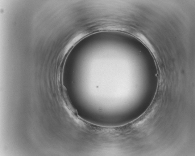 X0000088580909200706011109