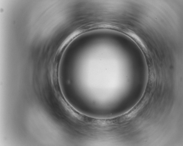 X0000088580910200706011109