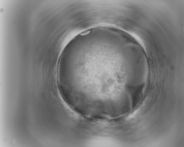 X0000088580911200706011109