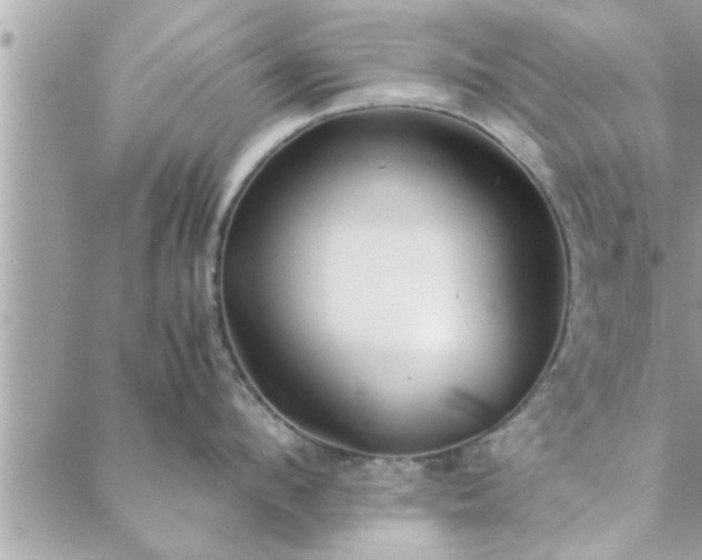 X0000088580912200706011109