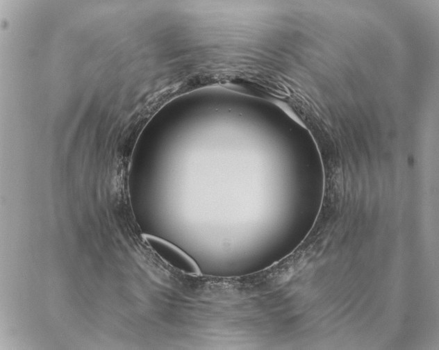 X0000088580914200706011109