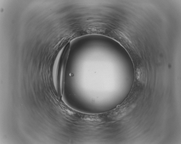 X0000088580915200706011109