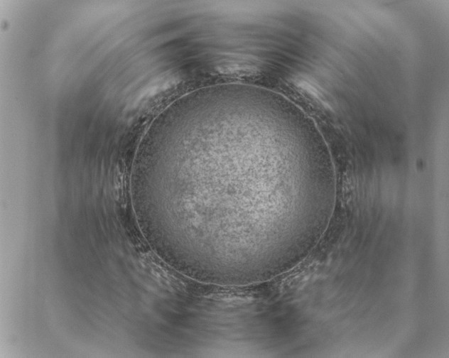 X0000088580917200706011109