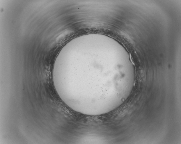 X0000088580918200706011109