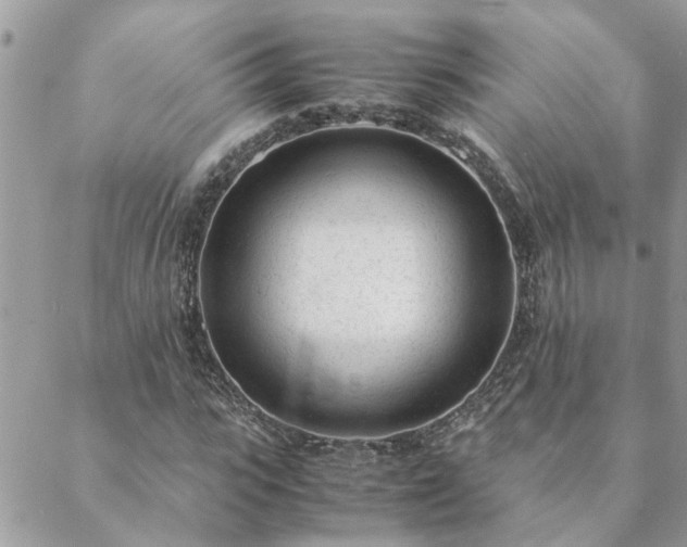 X0000088580919200706011109