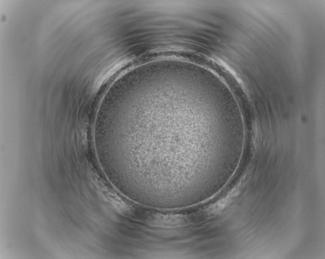 X0000088580921200706011109