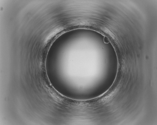 X0000088580922200706011109