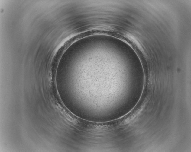 X0000088580923200706011109