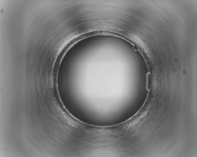 X0000088580924200706011109