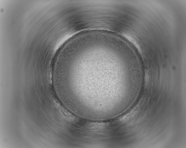 X0000088580925200706011109