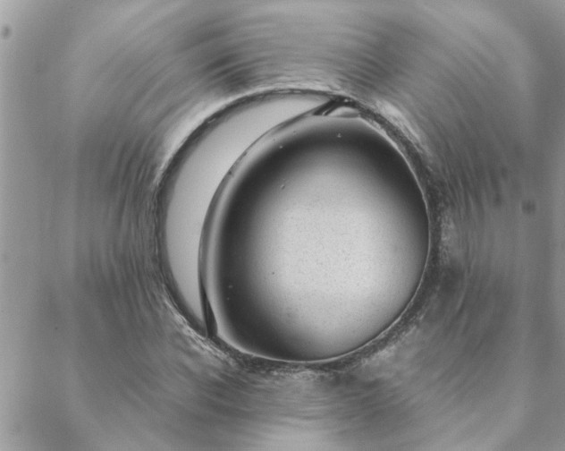 X0000088580926200706011109