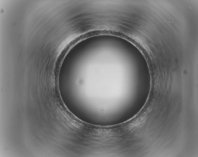 X0000088580927200706011109