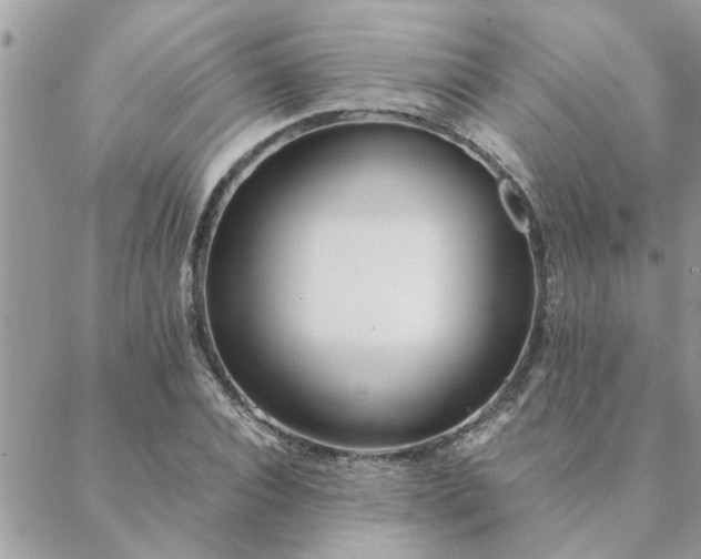 X0000088580928200706011109