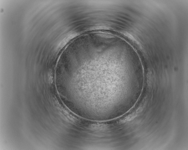 X0000088580929200706011109