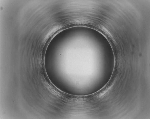 X0000088580930200706011109