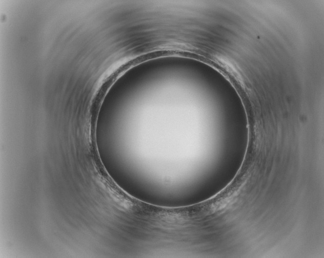 X0000088580931200706011109