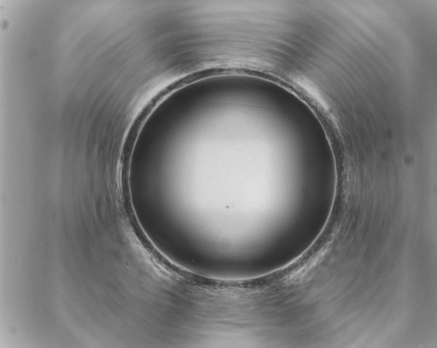 X0000088580932200706011109