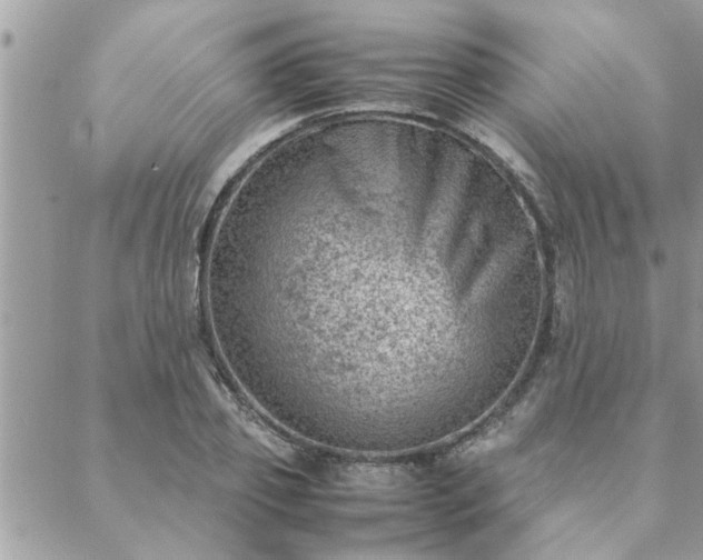 X0000088580933200706011109