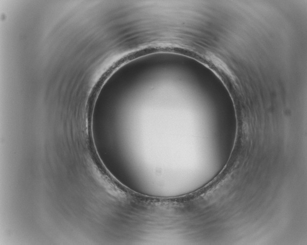 X0000088580934200706011109