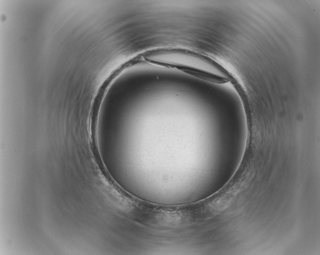 X0000088580935200706011109