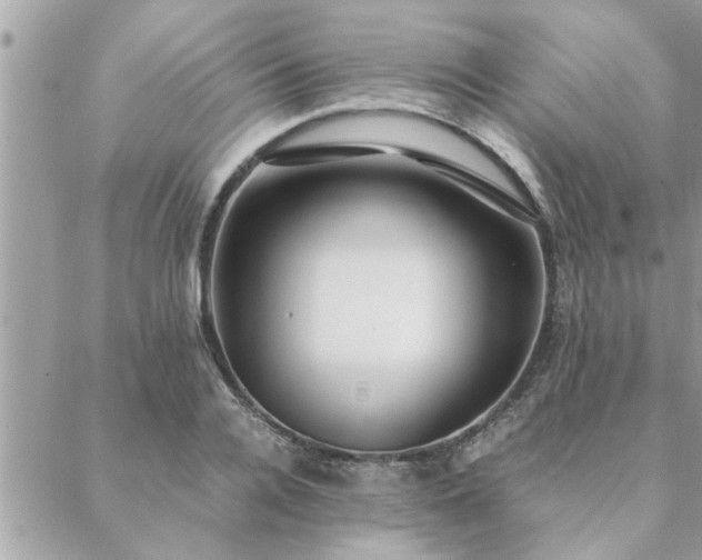 X0000088580936200706011109