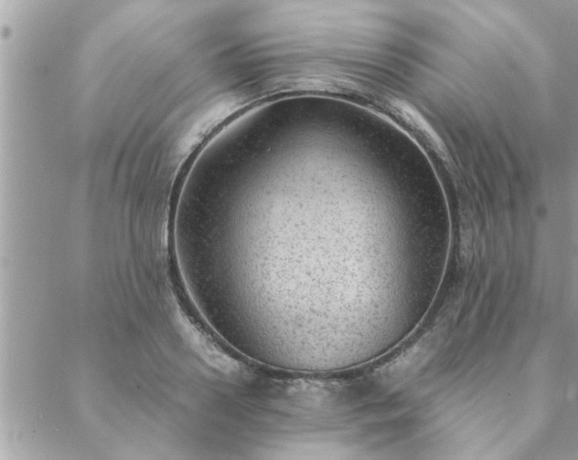 X0000088580938200706011109