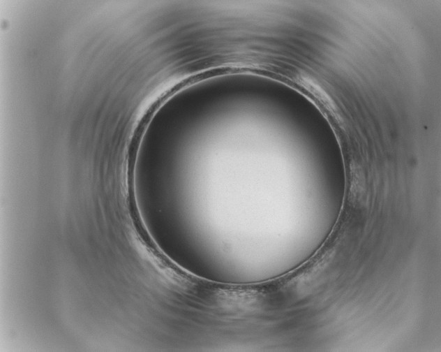 X0000088580939200706011109