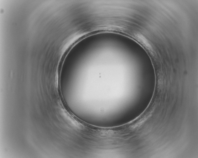 X0000088580940200706011109