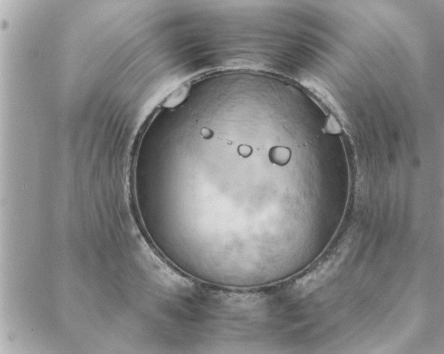 X0000088580941200706011109