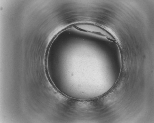 X0000088580943200706011109