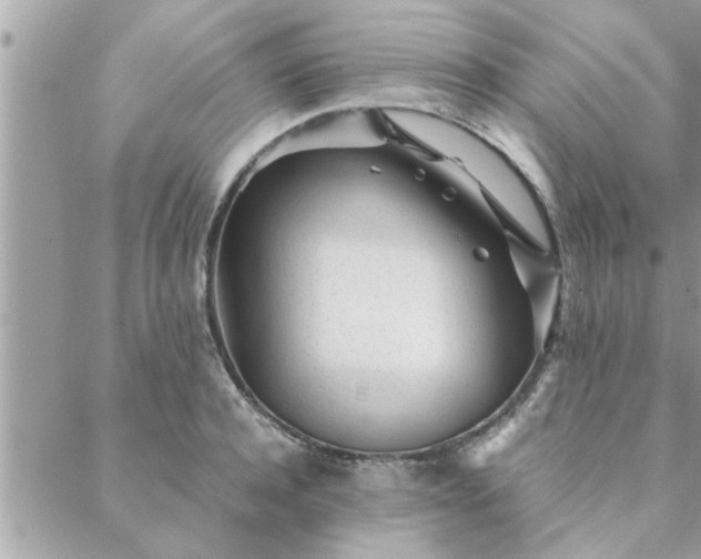 X0000088580944200706011109