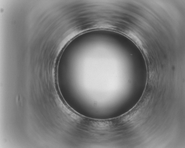 X0000088580947200706011109