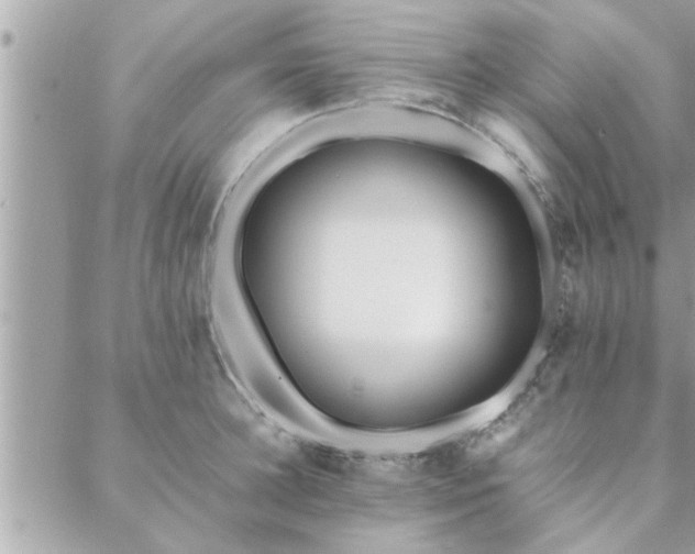 X0000088580948200706011109