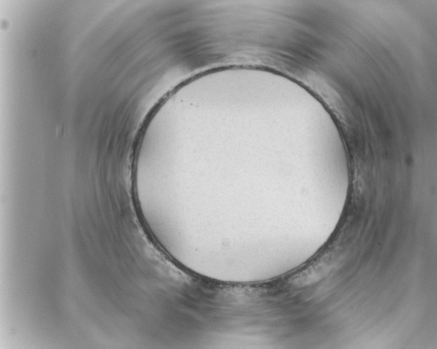 X0000088580950200706011109