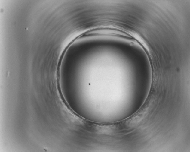 X0000088580951200706011109