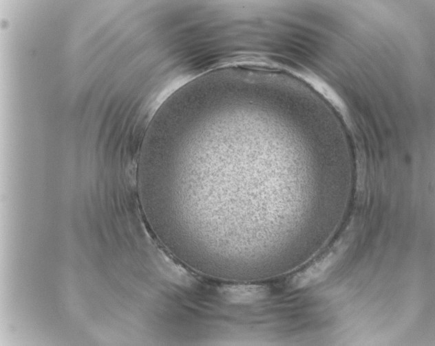 X0000088580953200706011109