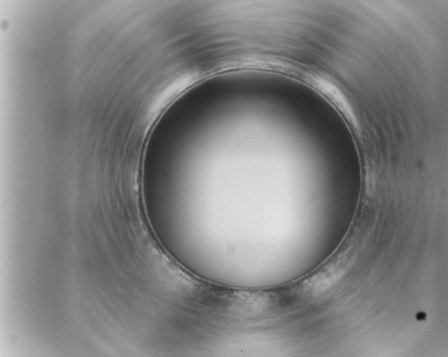 X0000088580954200706011109