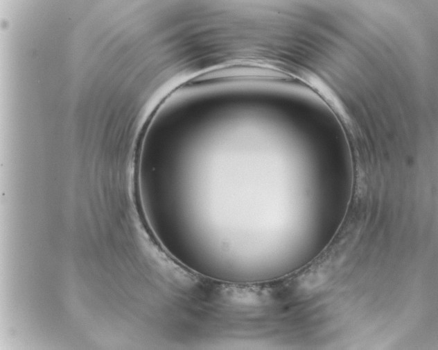 X0000088580955200706011109