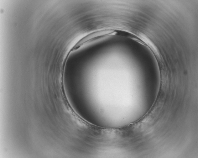 X0000088580956200706011109