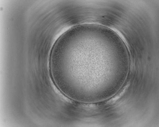 X0000088580957200706011109