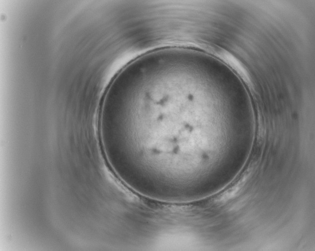 X0000088580958200706011109