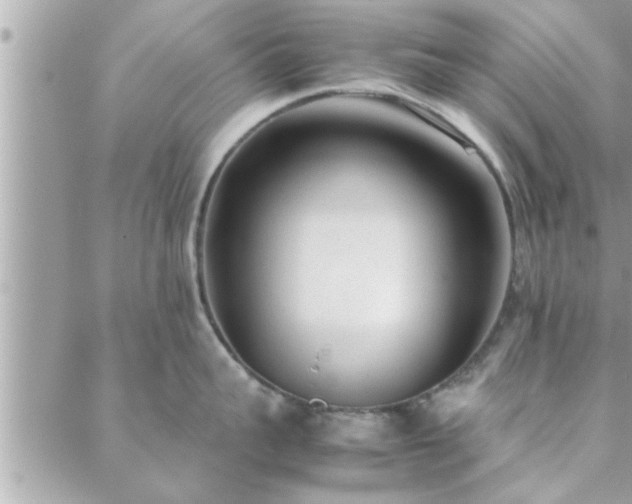 X0000088580959200706011109