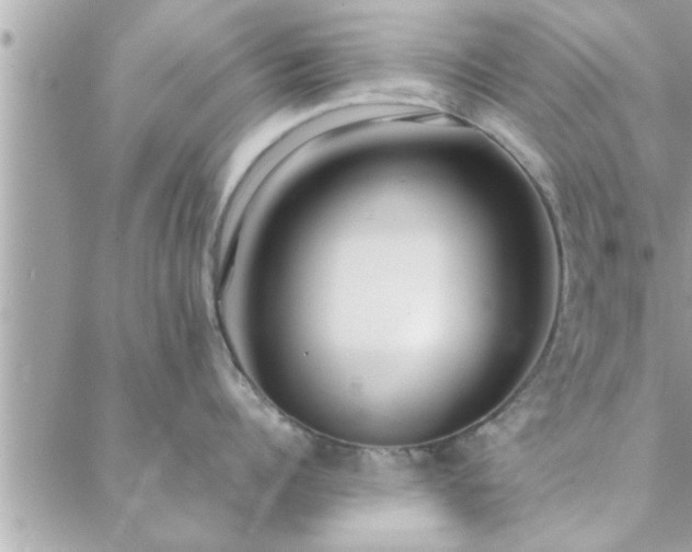 X0000088580960200706011109