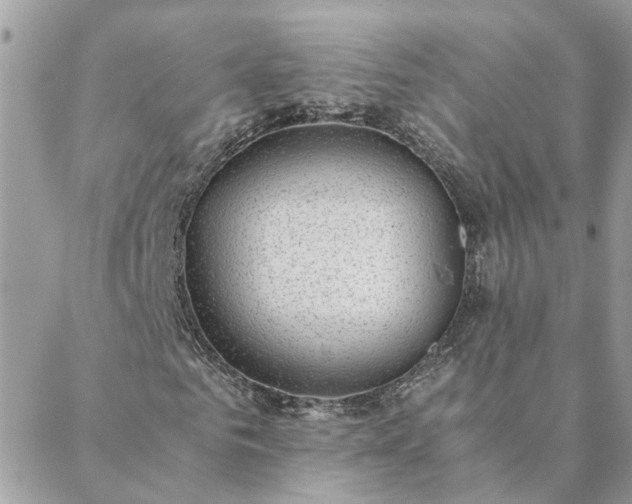 X0000088580961200706011109