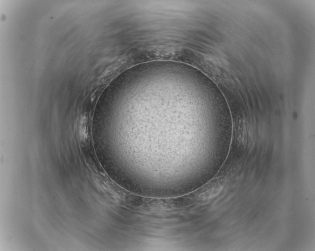 X0000088580962200706011109