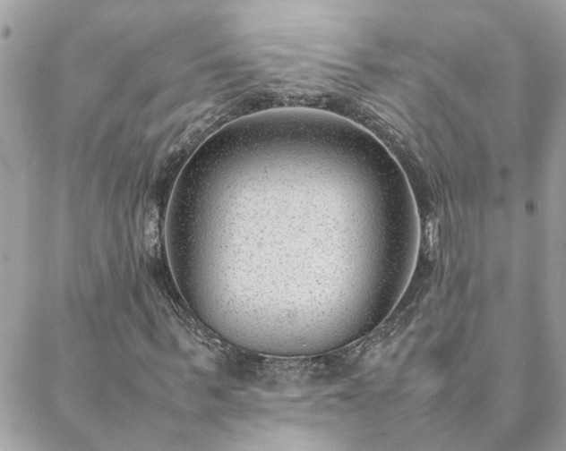 X0000088580963200706011109