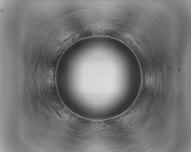 X0000088580964200706011109