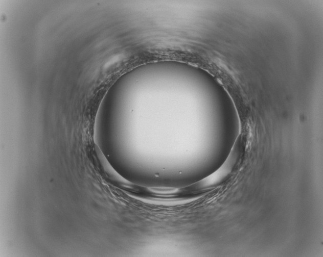 X0000088580965200706011109